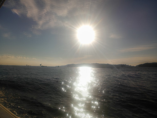 IMG_20260819_063720443_HDR.jpg