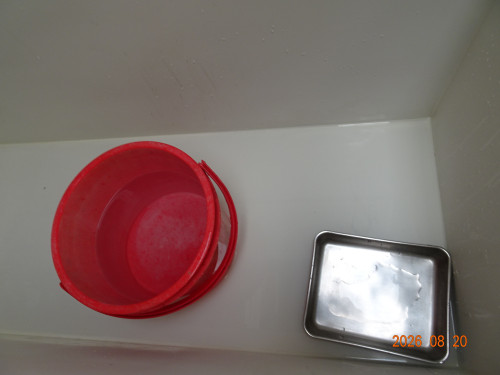 DSC06232.JPG