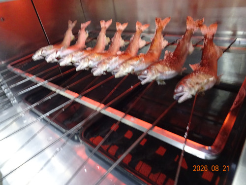 DSC06255.JPG