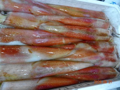 DSC06244.JPG