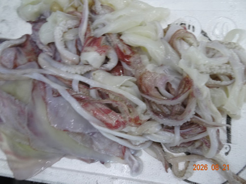 DSC06251.JPG