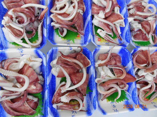 DSC06257.JPG