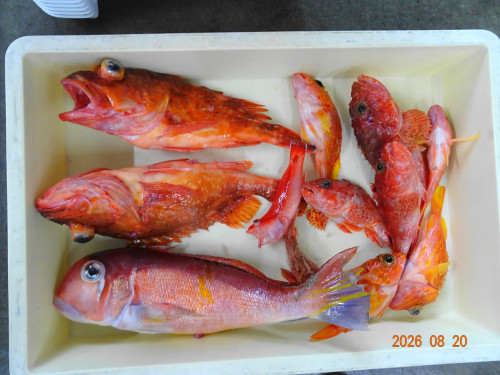 DSC06235.JPG