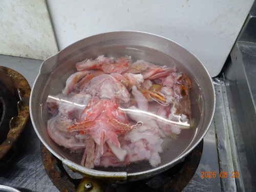 DSC06238.JPG
