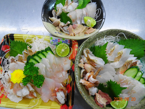 DSC06239.JPG