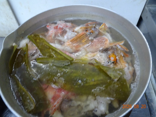 DSC06240.JPG