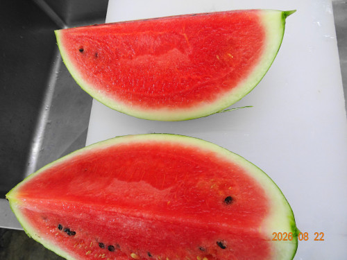 DSC06283.JPG