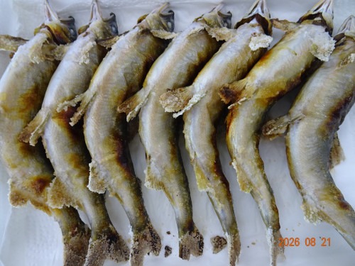 DSC06262.JPG