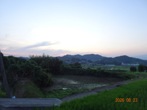 DSC06303.JPG