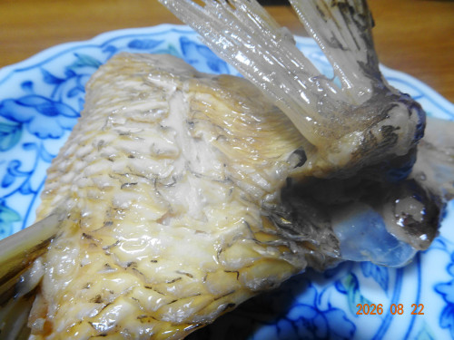 DSC06297.JPG