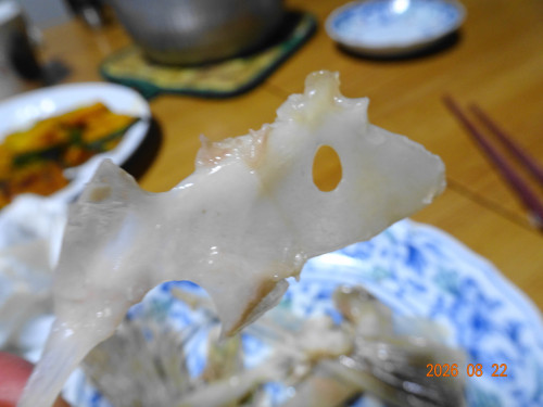 DSC06302.JPG