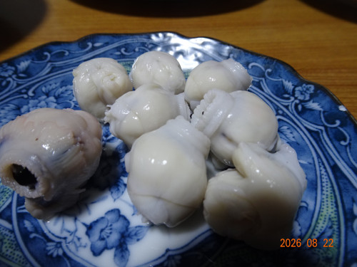 DSC06296.JPG