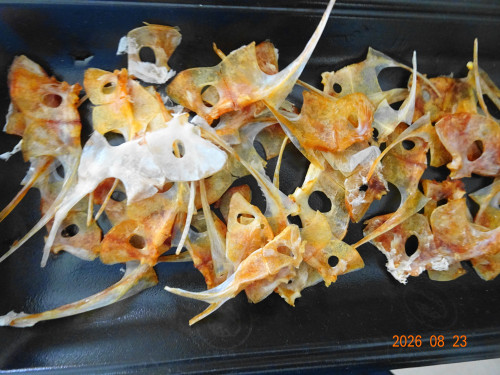 DSC06320.JPG