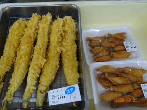 DSC06376.JPG