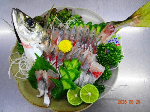 DSC06405.JPG
