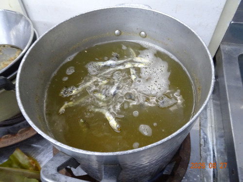 DSC06413.JPG