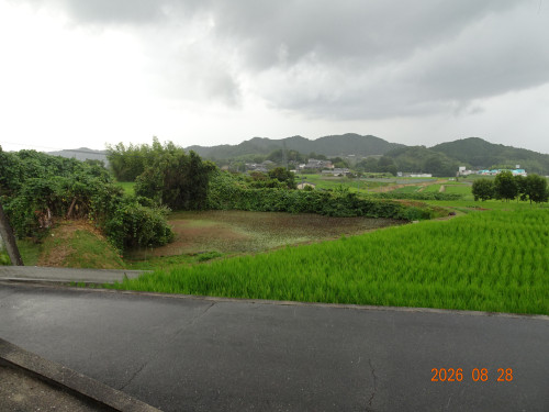 DSC06444.JPG