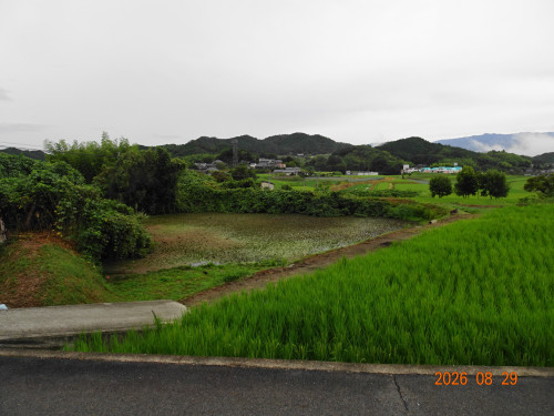 DSC06452.JPG