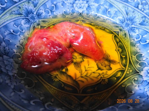 DSC06448.JPG