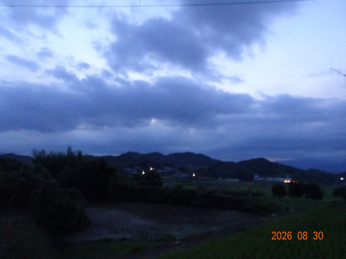 DSC06474.JPG