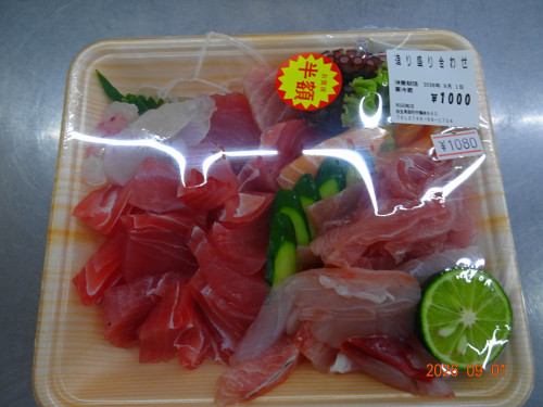 DSC06528.JPG