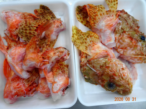 DSC06513.JPG