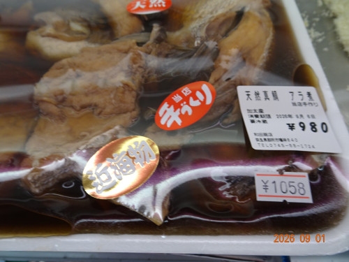 DSC06541.JPG