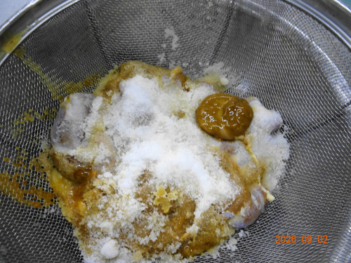 DSC06572.JPG