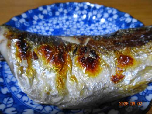 DSC06579.JPG