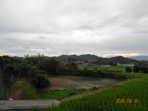 DSC06581.JPG