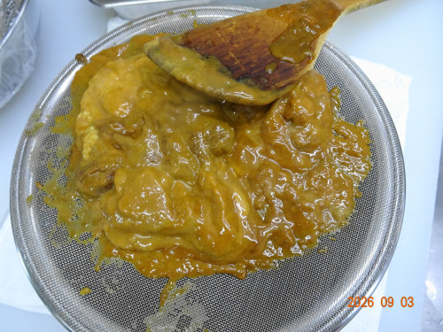 DSC06584.JPG