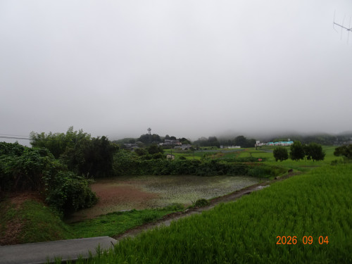 DSC06596.JPG