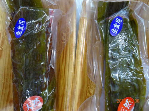 DSC06625.JPG