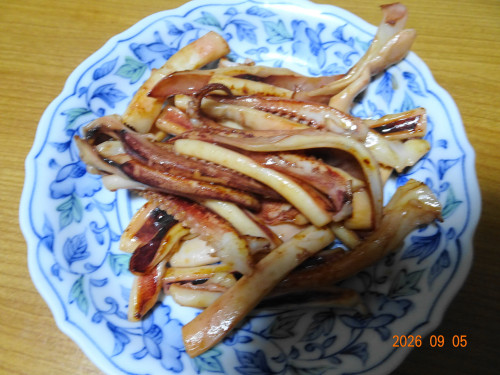 DSC06620.JPG
