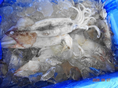 DSC06645.JPG