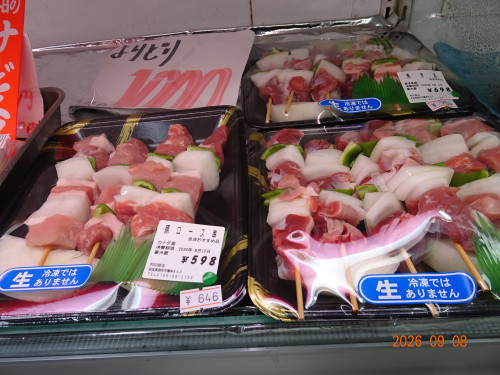 DSC06673.JPG