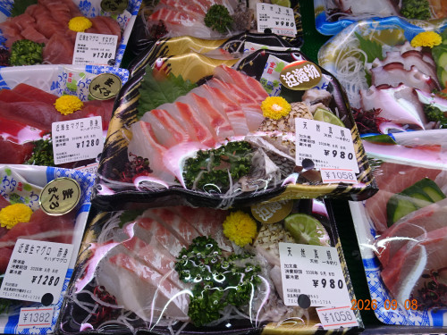 DSC06675.JPG