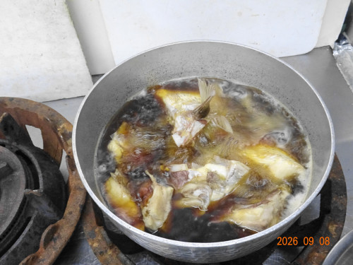 DSC06686.JPG