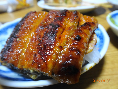 DSC06693.JPG