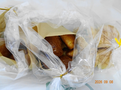 DSC06687.JPG