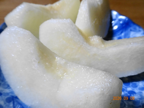 DSC06694.JPG