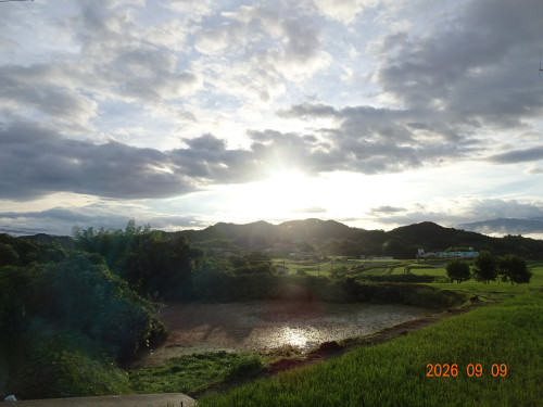 DSC06695.JPG