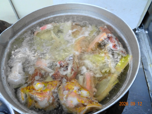 DSC06786.JPG