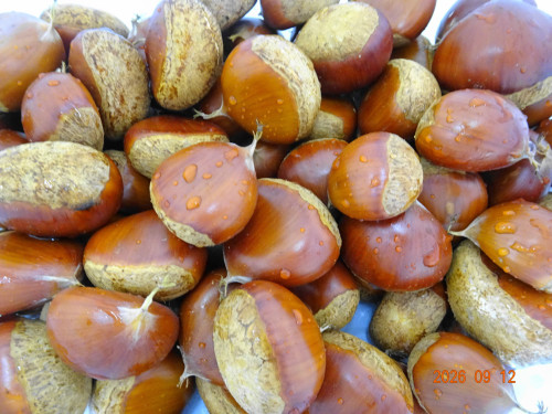 DSC06776.JPG