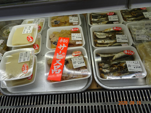DSC06849.JPG