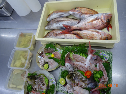 DSC06872.JPG