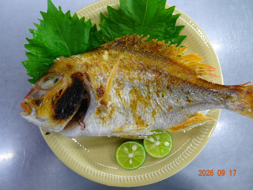 DSC06894.JPG