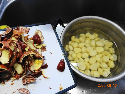 DSC06877.JPG
