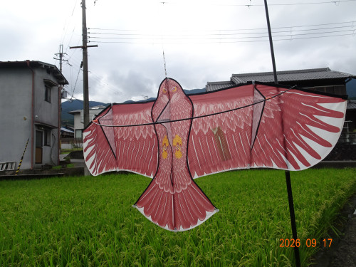 DSC06902.JPG