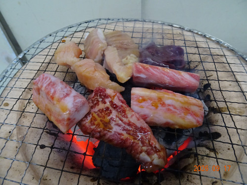 DSC06906.JPG